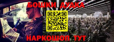 стафф Кингисепп