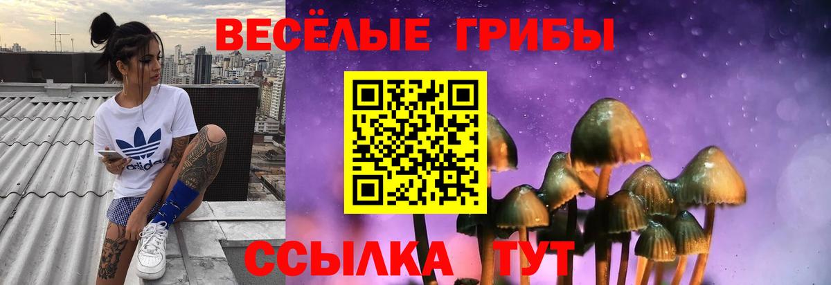 Псилоцибиновые грибы мухоморы Острогожск