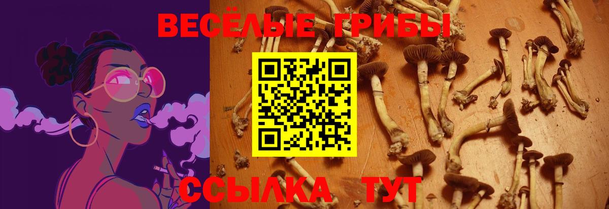 как найти закладки  Псилоцибиновые грибы Magic Shrooms  Острогожск  Галлюциногенные грибы Cubensis 